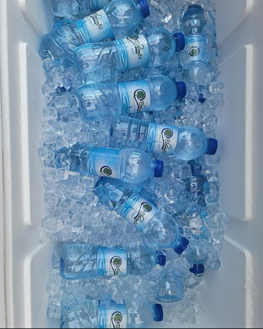 Eleven86 Real Artesian Water