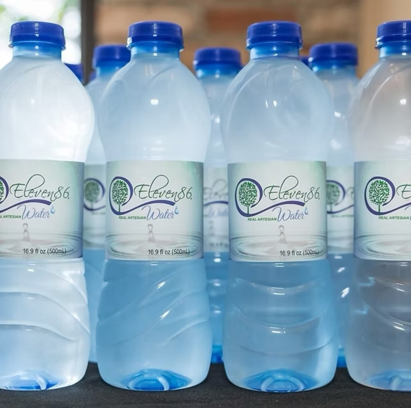 Eleven86 Real Artesian Water